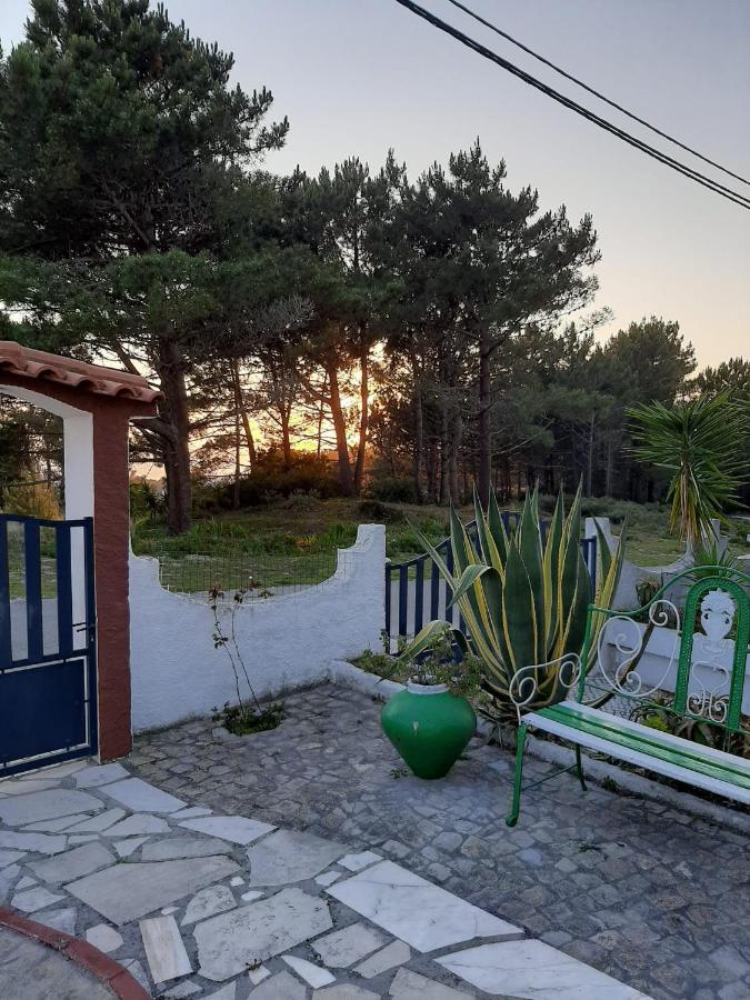 Lemos Family Beach House Nazaré Kültér fotó
